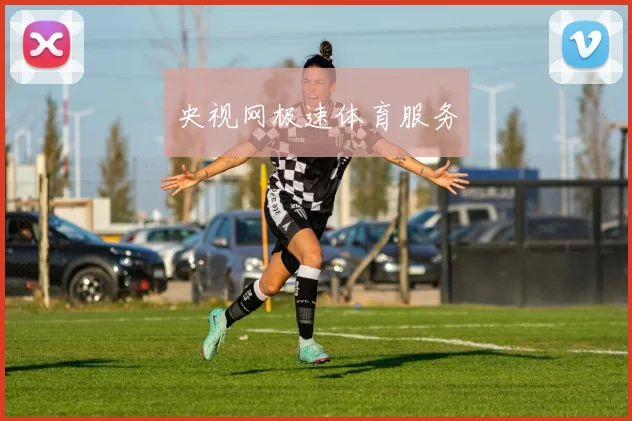 央视网极速体育服务