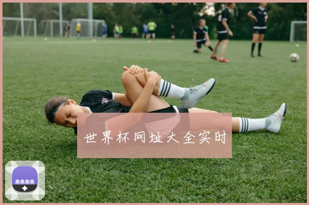 世界杯网址大全实时