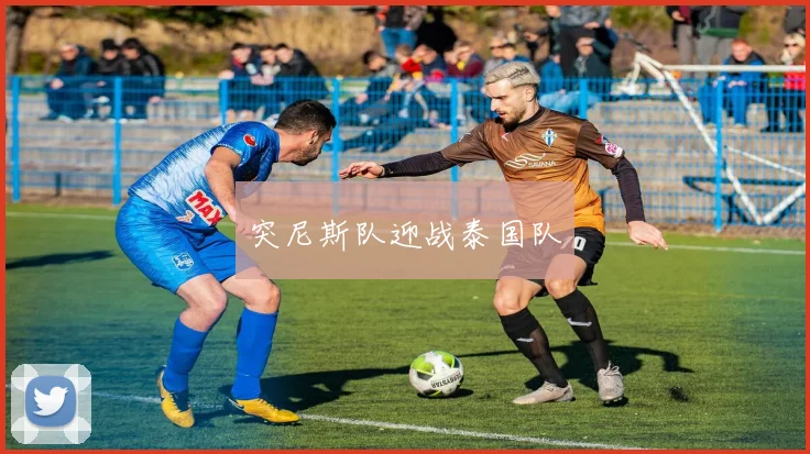突尼斯队迎战泰国队