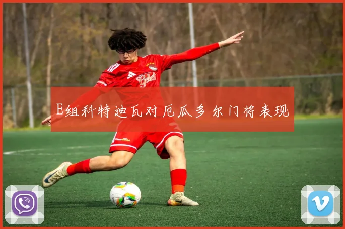 E组科特迪瓦对厄瓜多尔门将表现