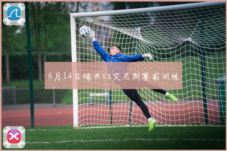 6月14日瑞典vs突尼斯赛前训练