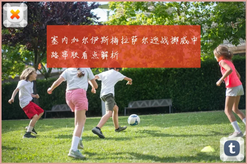 塞内加尔伊斯梅拉萨尔迎战挪威中路串联看点解析
