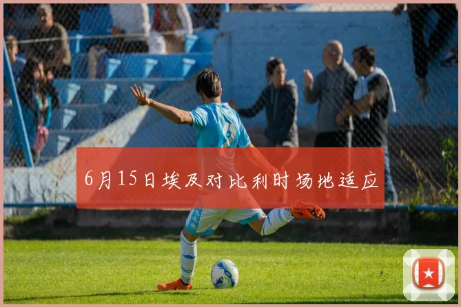 6月15日埃及对比利时场地适应