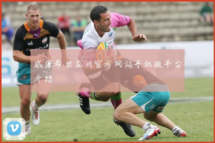 威廉希尔亚洲官方网站手机版平台介绍