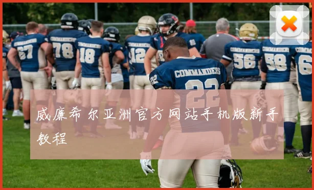 威廉希尔亚洲官方网站手机版新手教程